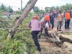 Bersama Warga, Tim SAR Brimob Bone Bersihkan Pohon Tumbang di Barebbo
