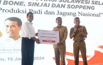 Panen Jagung Melimpah, Kadis A Asman Sulaiman Ungkap Harga Jagung Ditetapkan Minimal Rp4.200